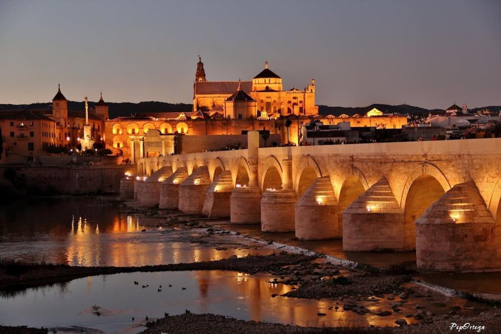 Apartamento Loft Al-Nasir Junto Al Casco Historico Córdoba Eksteriør bilde